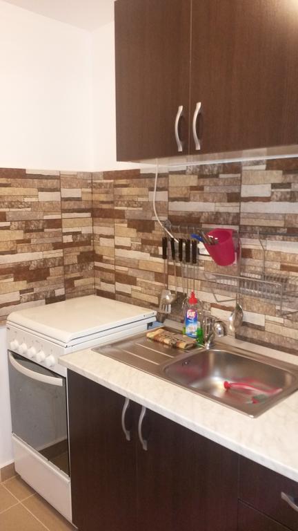 Otopeni Therme Airport Apartment الغرفة الصورة
