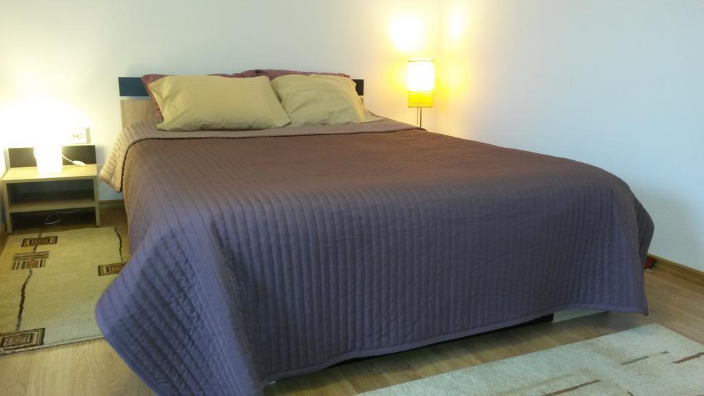 Otopeni Therme Airport Apartment الغرفة الصورة