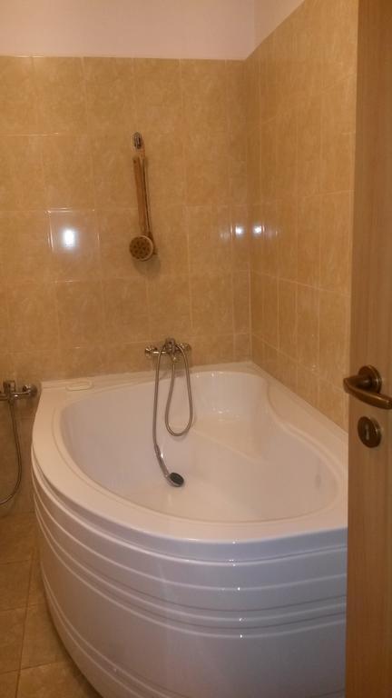 Otopeni Therme Airport Apartment الغرفة الصورة